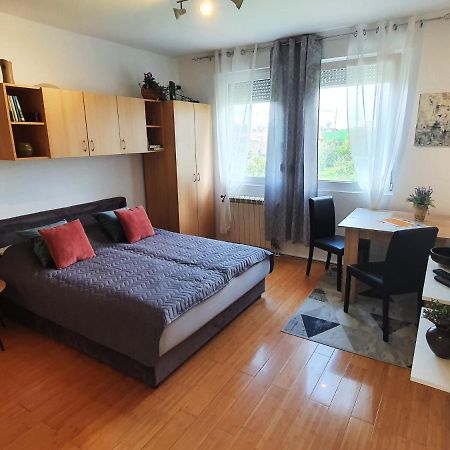 Apartman 64 - Besplatan Parking Za Goste 诺威萨 外观 照片