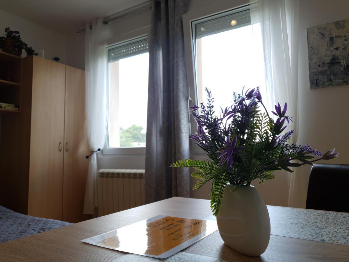 Apartman 64 - Besplatan Parking Za Goste 诺威萨 外观 照片